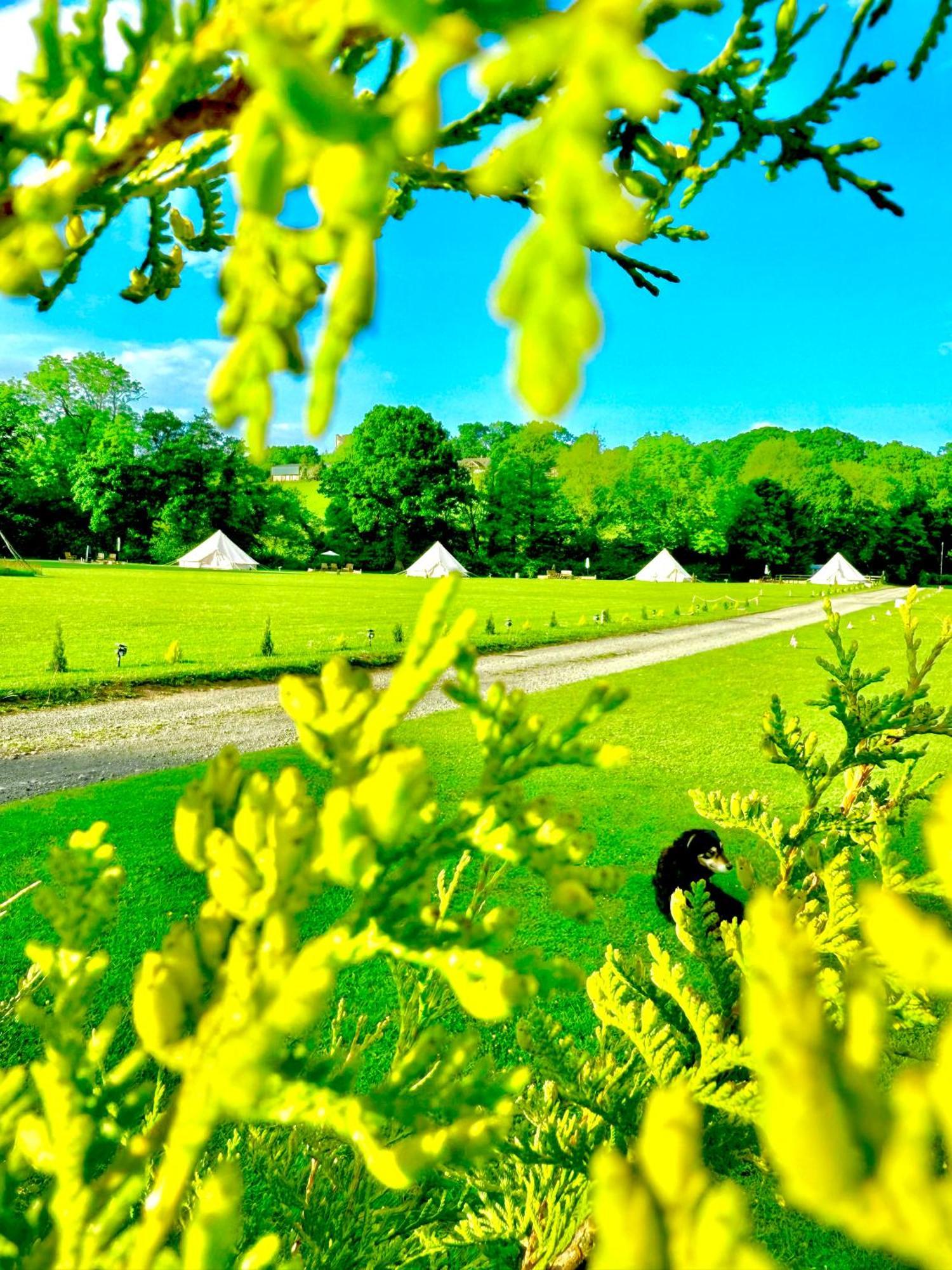 Cayoretreat Luxury Bell Tent Clodock Eksteriør bilde